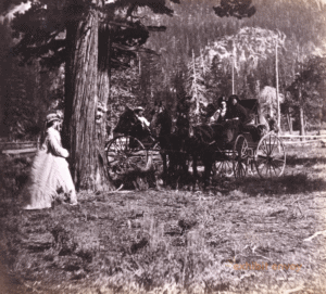 Travelers wearing outfits from the early 1900s enjoy time outdoors. A woman stands next to a tree and a couple sits in a carriage.