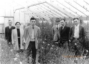 Six people stand in a greenhouse facing forward.