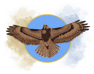 An illustration of a brown bird of prey with its wings spread. Behind the bird is a blue circle, the color of the sky, with a gold rim.