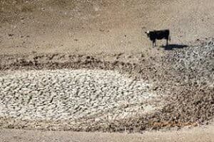 Pond depleted due to drought in California (US Department of Agriculture by Cynthia Mendoza)